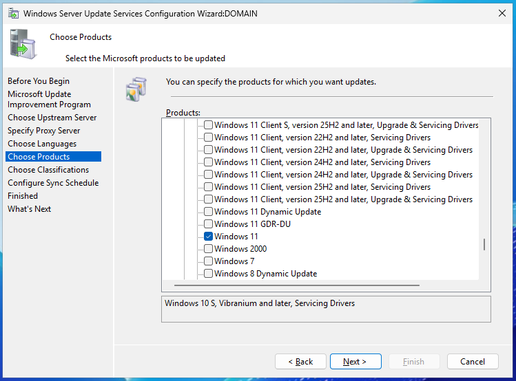 Adım 10: Choose Products - Windows 11